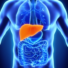 BEST LIVER DISEASE TREATMENT